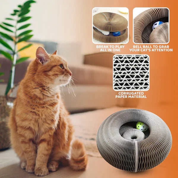 Kiidusty™ Cat Scratching Board