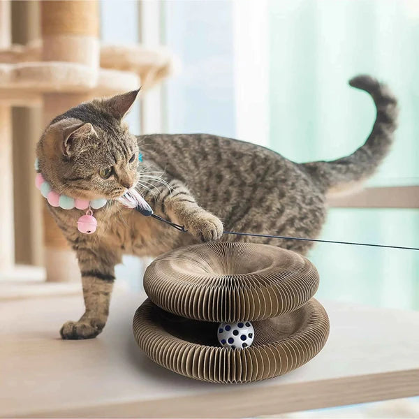 Kiidusty™ Cat Scratching Board