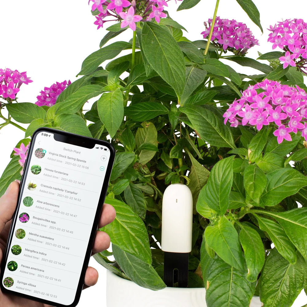 Plant & Flower Smart Sensors