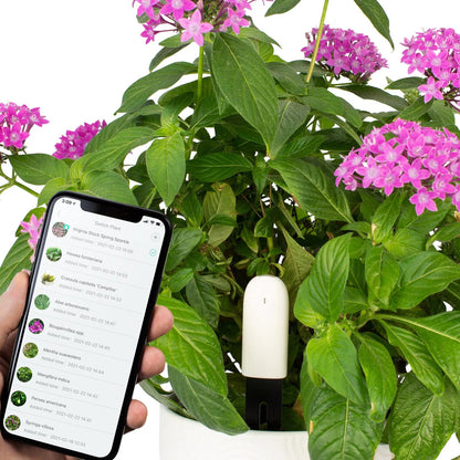 Plant & Flower Smart Sensors