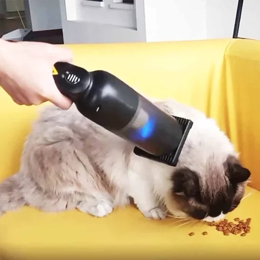 USB Pet Hair Sucker